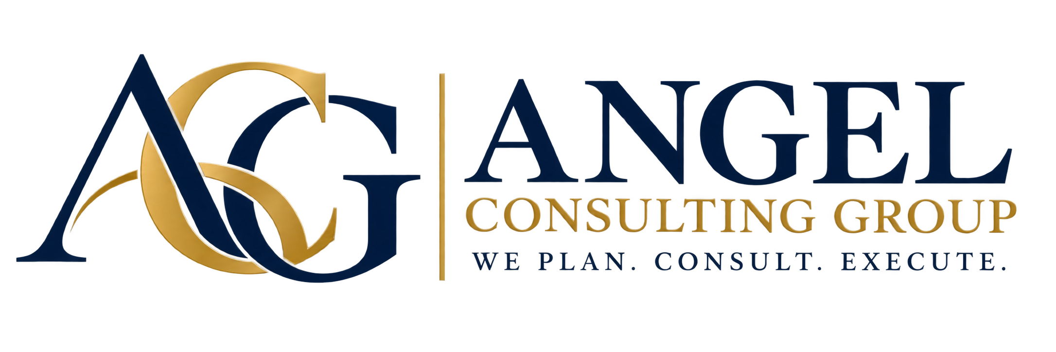 Angel Consulting Group — We Plan. Consult. Execute.